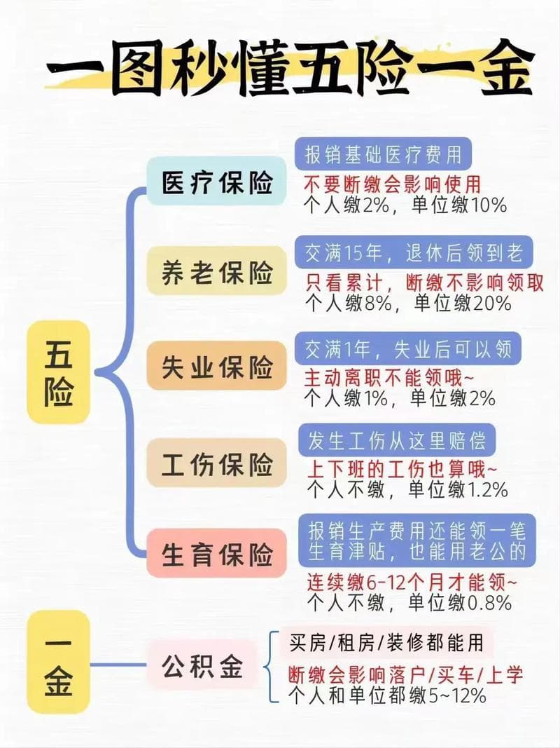 养老保险社保知识详解