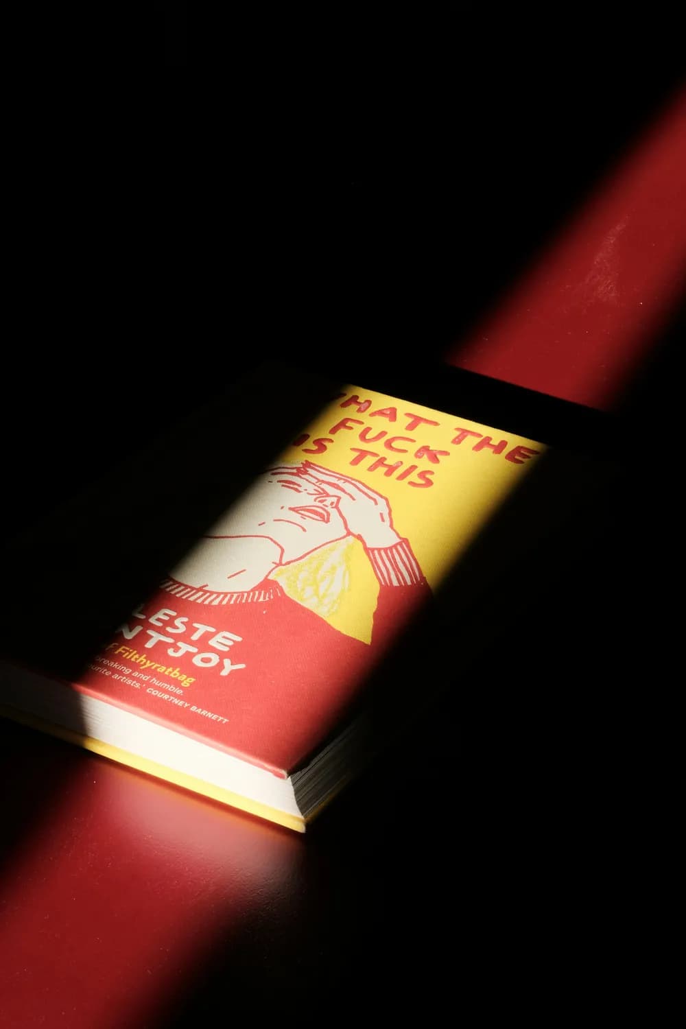 蛤蟆先生教你如何在阅读中疗愈心灵