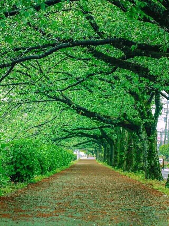 手机拍照比例全解析：4:3、1:1和全屏哪个更适合你？