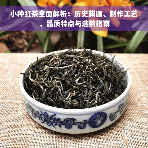 小种红茶全面解析：历史渊源、制作工艺、品质特点与选购指南