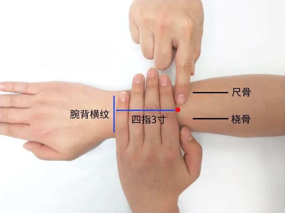手臂上有一个穴，治疗便秘、耳鸣、胁肋痛