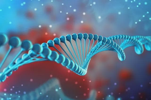 比基因更重要！近50万人研究：少吸烟、多运动等25个后天因素，或让你更长寿