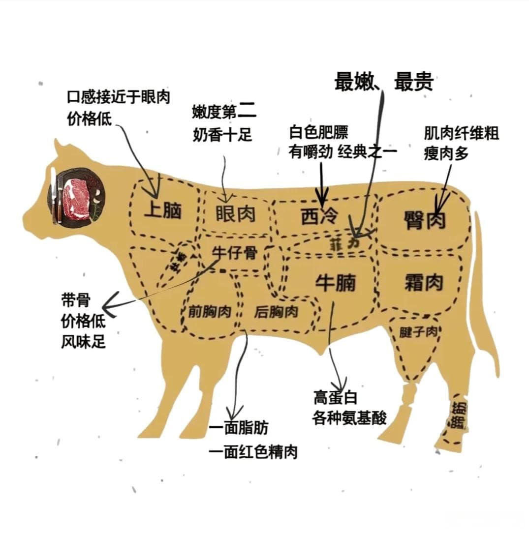 牛肉选购指南：15个部位详解与烹饪建议