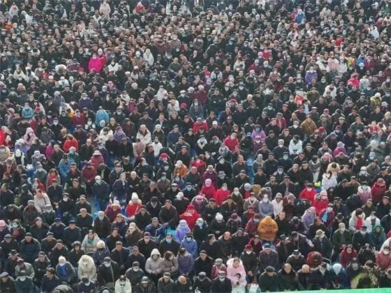 万人吼秦腔，2024年最后一个“逆天改命”的故事