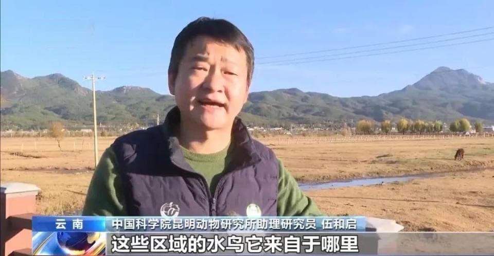 云南如何解锁候鸟“越冬秘籍”？