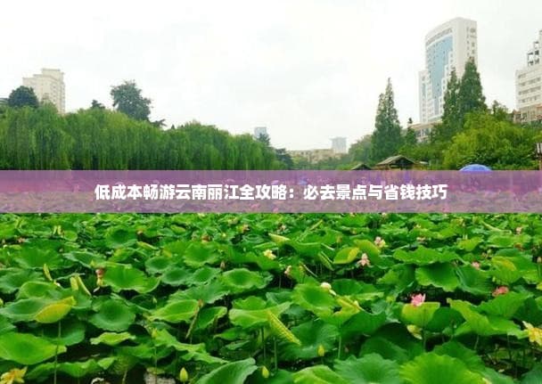 低成本畅游云南丽江全攻略：必去景点与省钱技巧