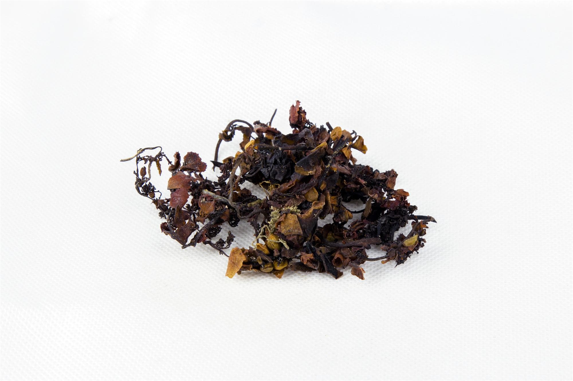 海藻 昆布：传统中药的软坚散结功效