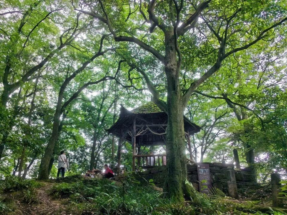 藏在青城山的宝藏打卡地，你get了吗？