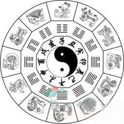 八字五行属性怎么看-如何查自己的五行属性