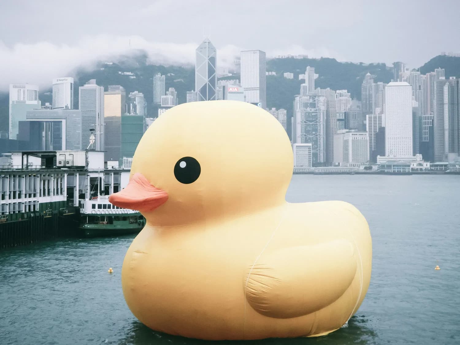 上海旅游节：压马路的新玩法