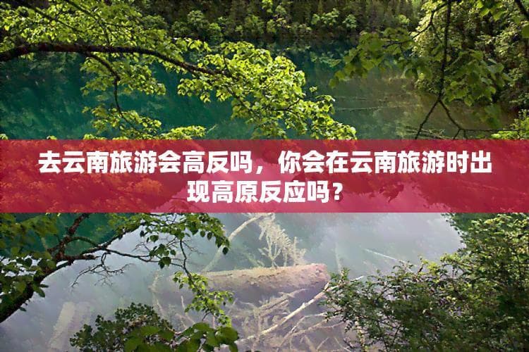 去云南旅游会高反吗？从不同城市出发的高原反应指南