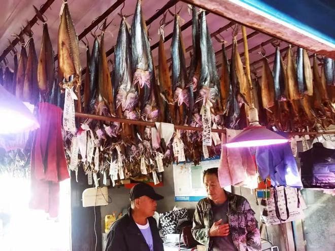 鲅鱼上市就跌价，为啥便宜还不好卖?鱼贩：4个原因，很现实