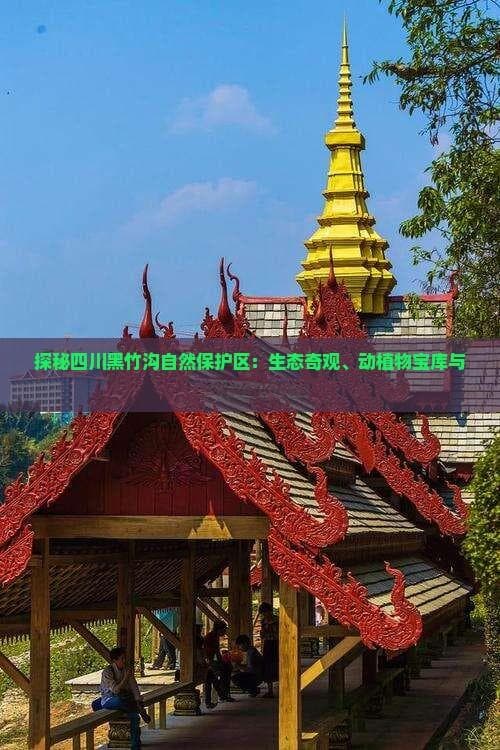 探秘四川黑竹沟自然保护区：生态奇观、动植物宝库与未解之谜一览