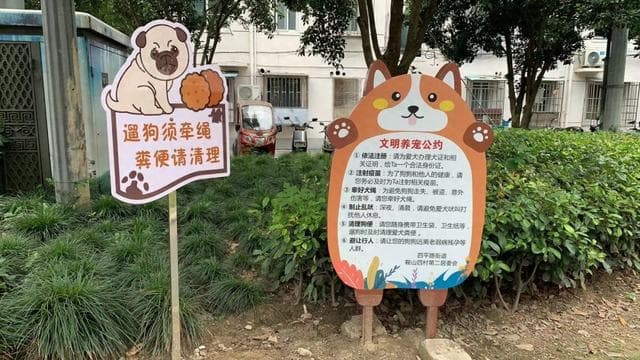 共筑“文明养宠”新风尚，杨浦这个社区有妙招
