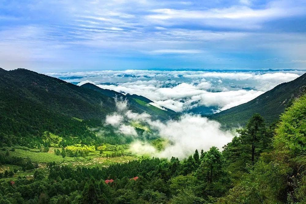 舌尖上的九江美食之四十二 —— 庐山麻皮土豆