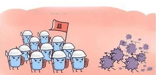 全面解析：益生菌的八大作用与八大功效