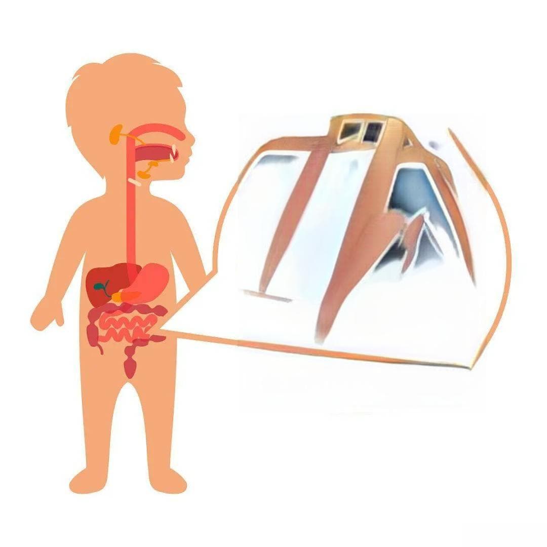 孩子腹痛，家长应该做点啥