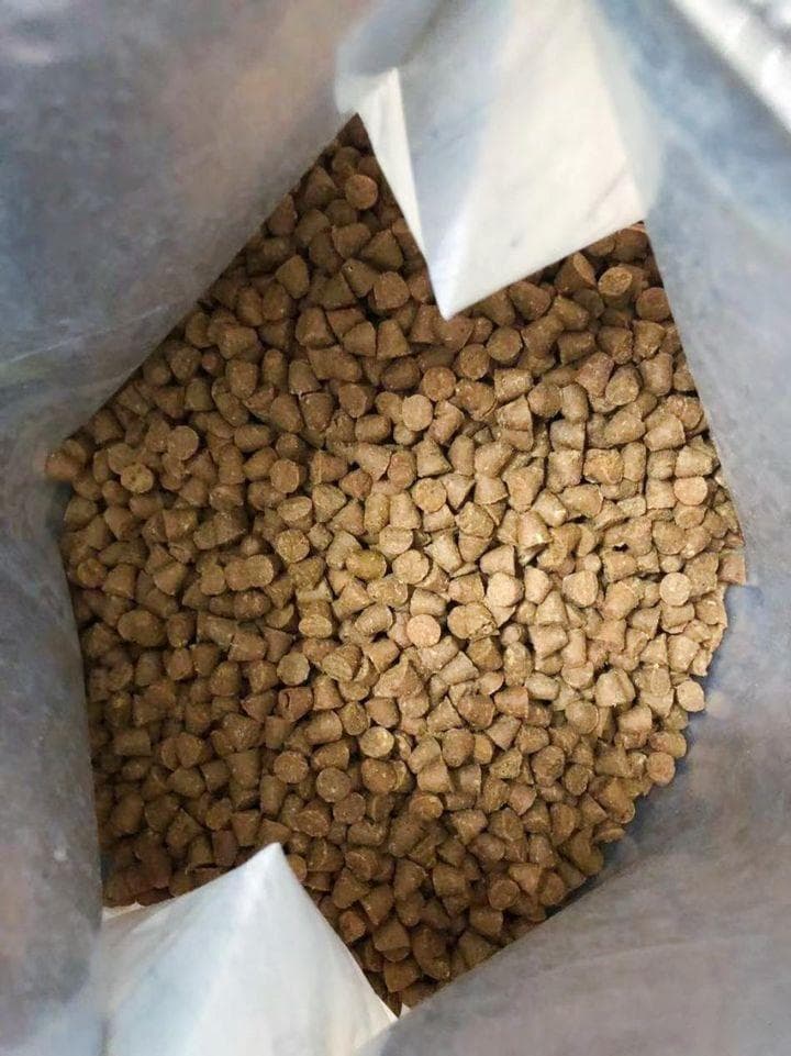 猫粮低温烘焙技术的优缺点探讨