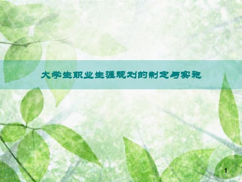职业生涯规划的制定与实施