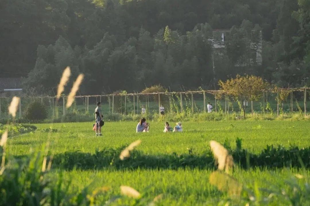 孩子出现这些迹象，暗示你真的管得太宽了