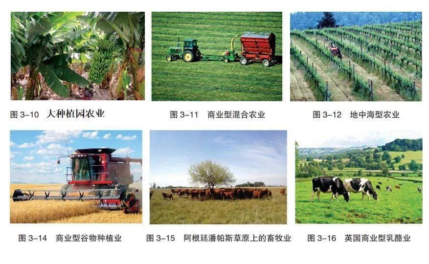 三种不同版本地理教材中的农业地域类型探讨，高考地理中的农业区位因素及其变化！