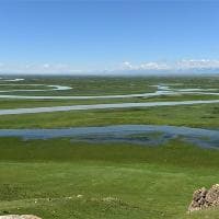 氢氧化钠和二氧化硅怎么反应