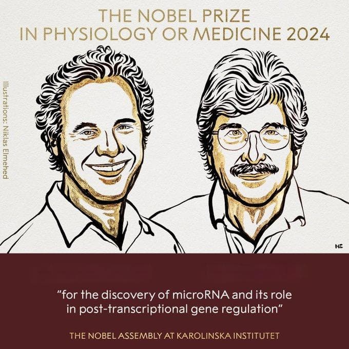 一文搞懂获得2024年诺贝尔生理学或医学奖的微小RNA