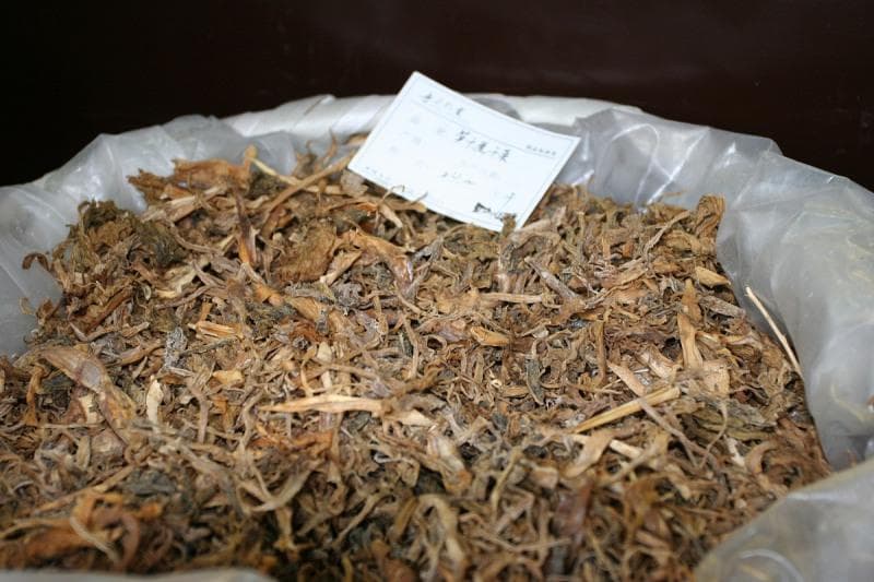 茶枯可以食用吗？了解更多关于茶枯的健康价值和食用方法