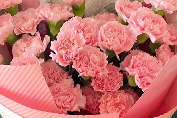 给老婆送花除了玫瑰花还有哪些？