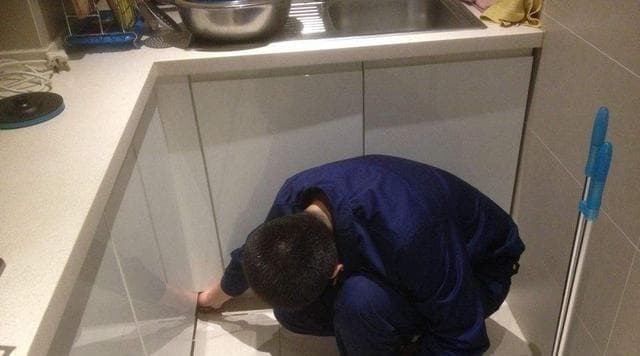 彻底清除蟑螂的有效方法（从源头控制）