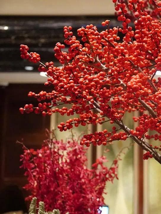 【中国传统文化】春节习俗有哪些？需要注意什么？