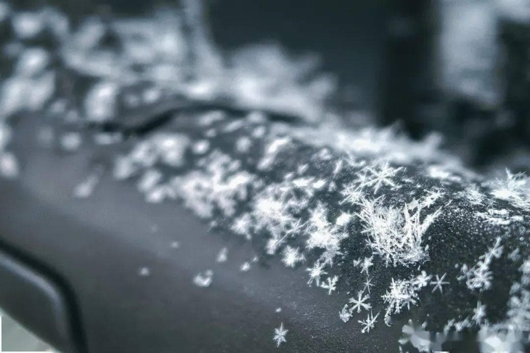 二月第一天，北京下雪了！