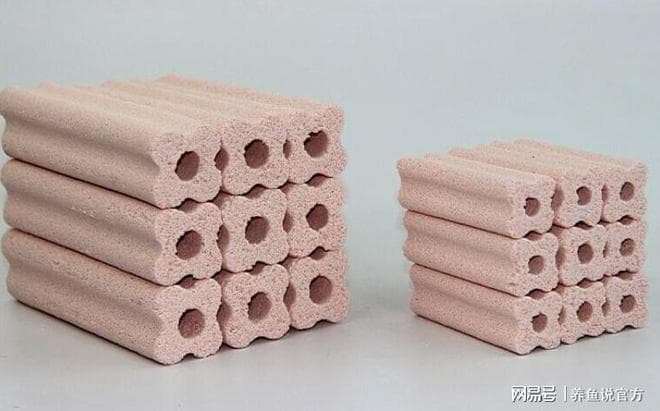 养好观赏鱼第一步：学会判断鱼缸硝化细菌系统是否建立，用此方法