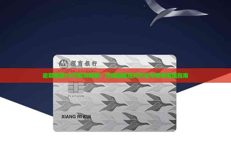 逾期借款50万解决策略：还款困难应对方法与债务重组指南
