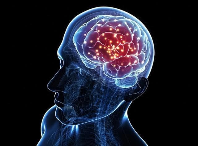 人类大脑只开发了10%？别再误解！你和爱因斯坦大脑都开发了100%