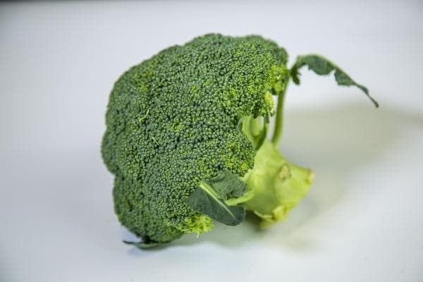 西兰花变黄了可以吃吗