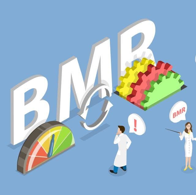 减脂必知BMR「基础代谢率」是什么？教你「基础代谢率」标准计算公式与提高方法