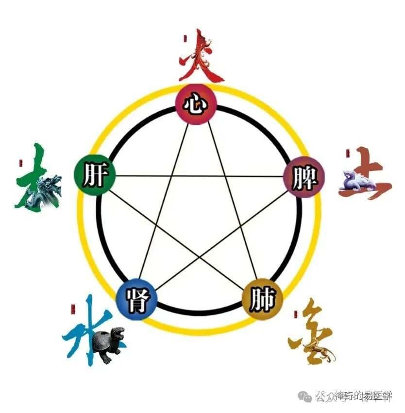 零基础学中医：五脏生克乘侮理论详解