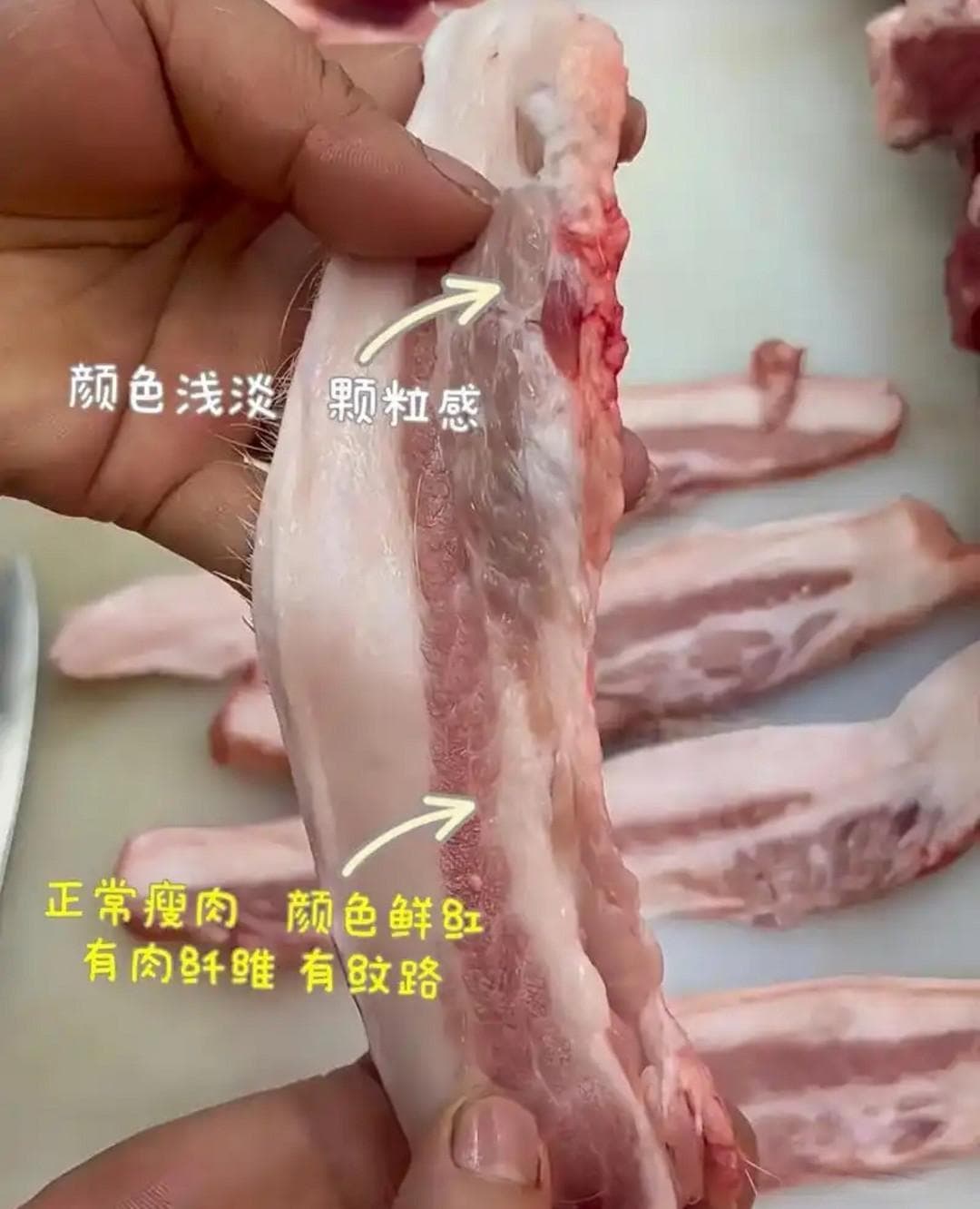 教你辨别猪肉中的淋巴肉，轻松挑选放心肉
