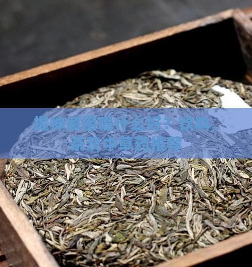 从咖啡到中草药茶：全方位提神饮品指南
