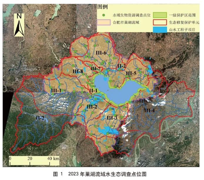 巢湖流域水生态系统状况变化研究：十年治理成效显著