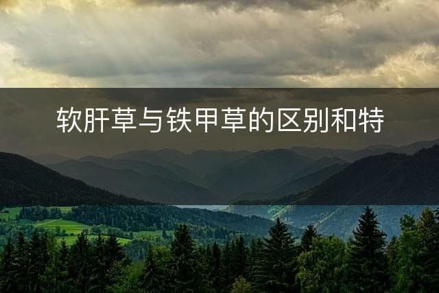 软肝草与铁甲草的区别和特点