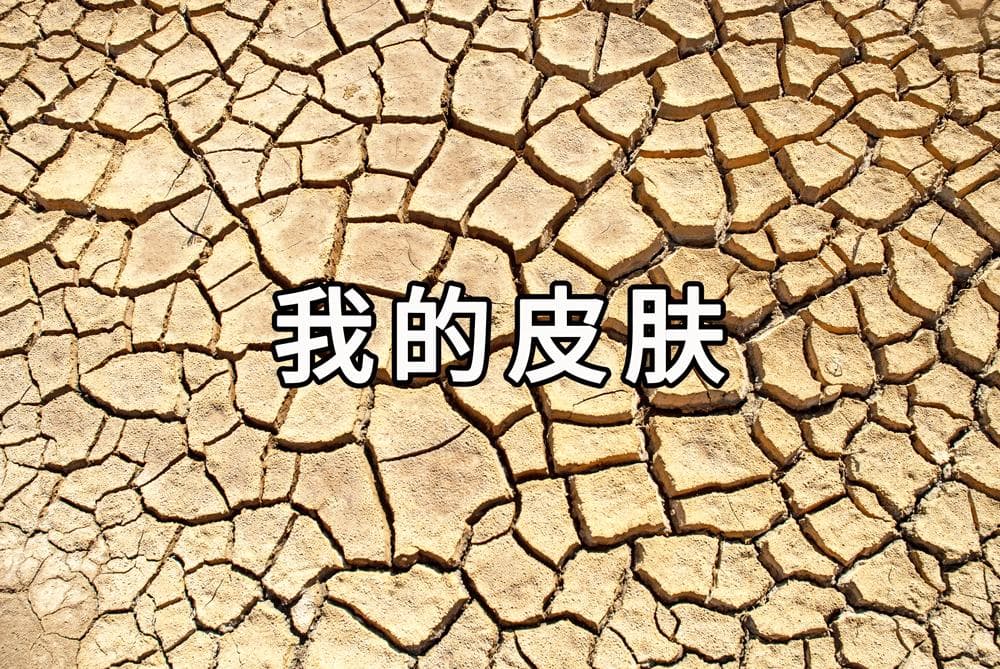 【妙招】干，干，干！冬天加湿的正确做法