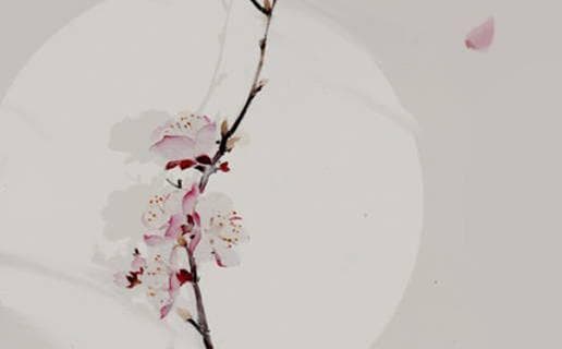 适合做老师的八字特征分析 哪些八字最适合从事教育工作