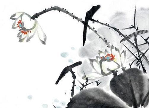 婚姻中的缘分理解及其对婚姻方向的影响 缘分在婚姻中的重要性解析