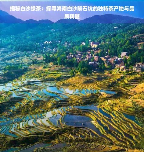 揭秘白沙绿茶：探寻海南白沙陨石坑的独特茶产地与品质精髓
