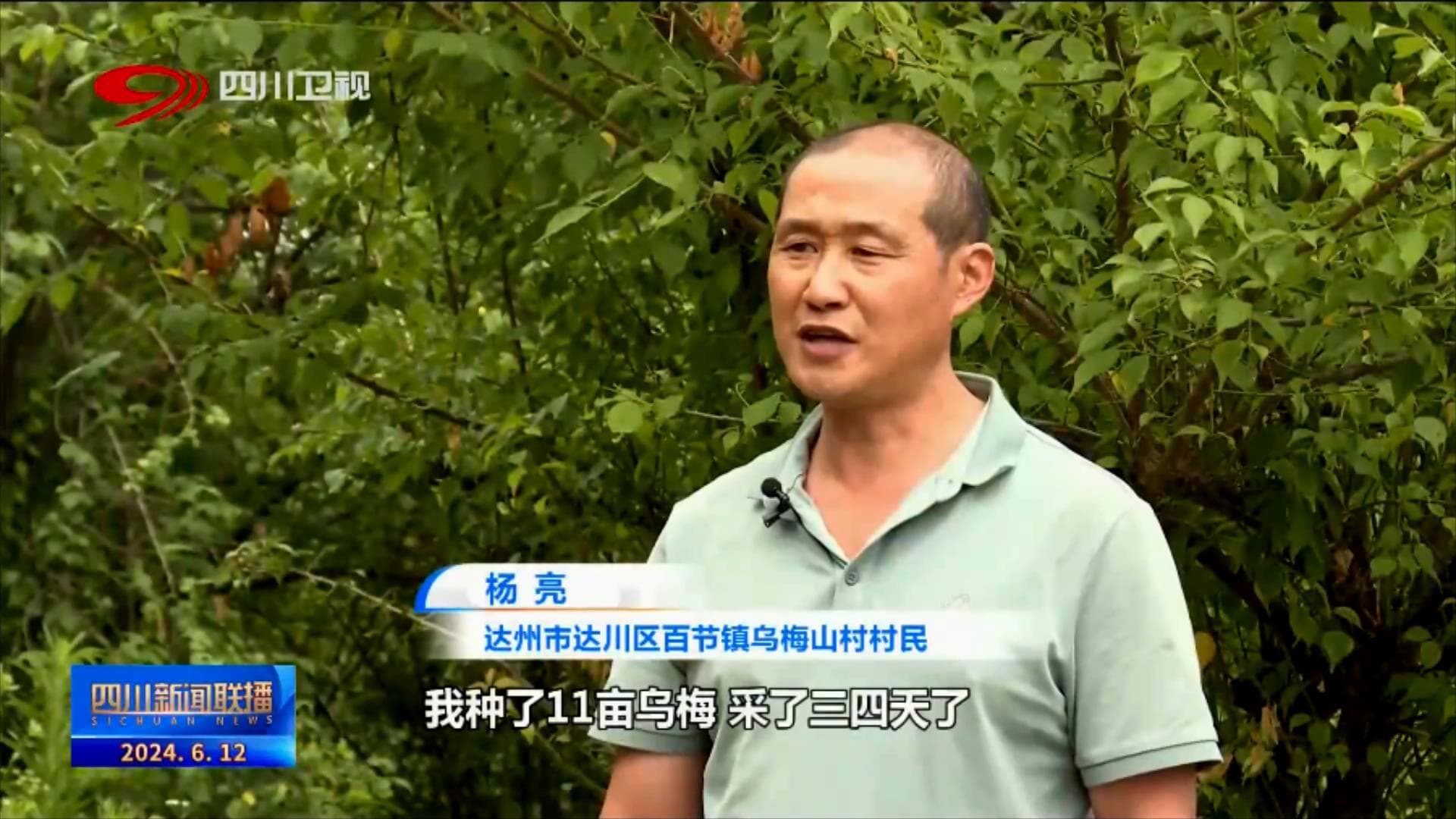 时令果蔬飘香 丰盈夏日蜀乡