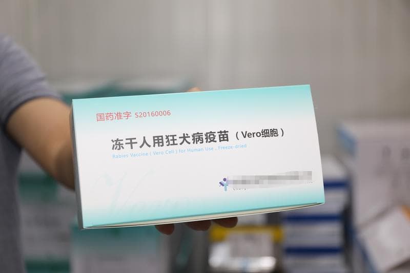 狂犬病可防不可治！中山设有27家“犬伤门诊”