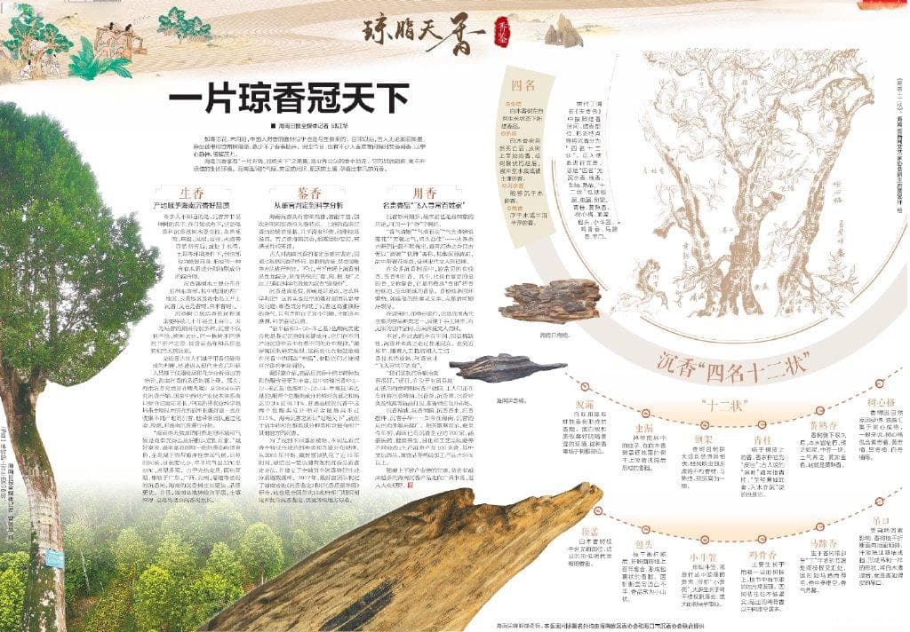 海南沉香为何能冠绝天下？