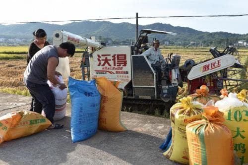 福建上杭：构建“五新”技术体系 助力农民增产增收